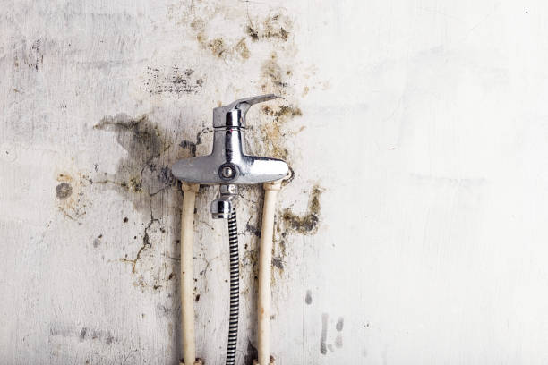 Best Office Mold Removal Services  in Lincoln Center, KS