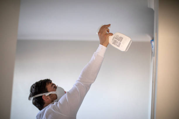 Lincoln Center, KS Mold Removal Company