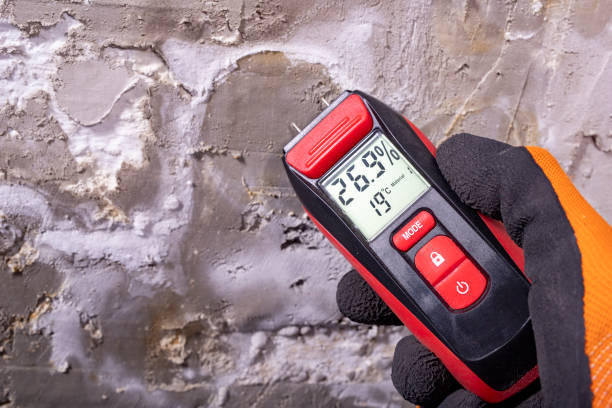 Best Residential Mold Removal  in Lincoln Center, KS