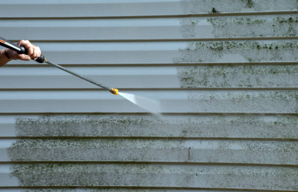 Best Black Mold Removal  in Lincoln Center, KS