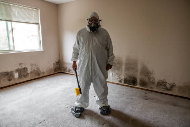 Best Fast Mold Removal  in Lincoln Center, KS
